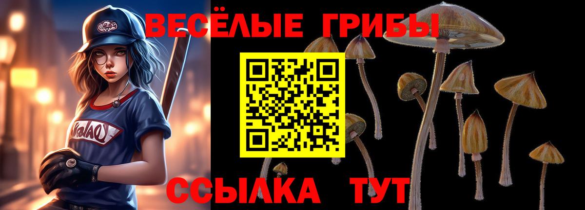 Галлюциногенные грибы мицелий  Вход с VPN  Карабулак 